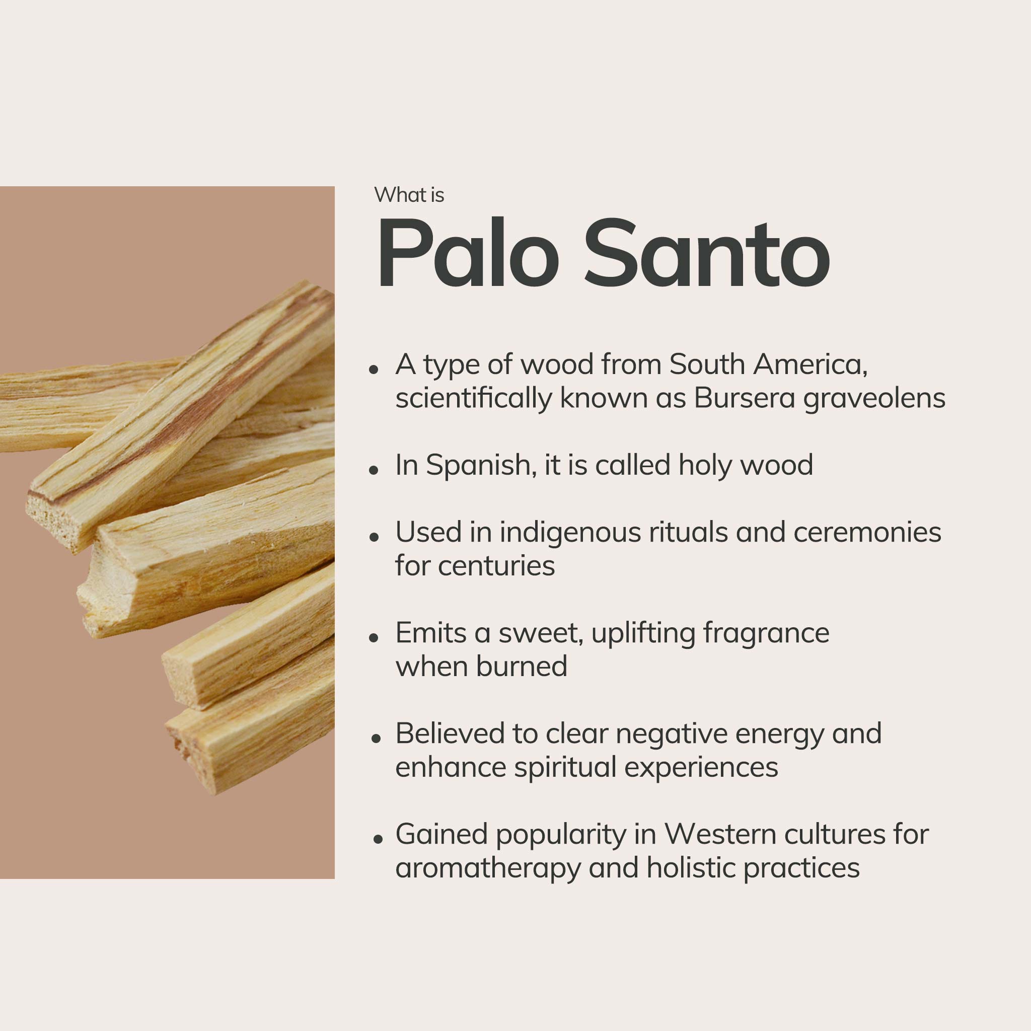 Palo Santo Incense Sticks – 7 Hand-Rolled Sticks from Peru